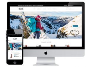 snowbiz-website